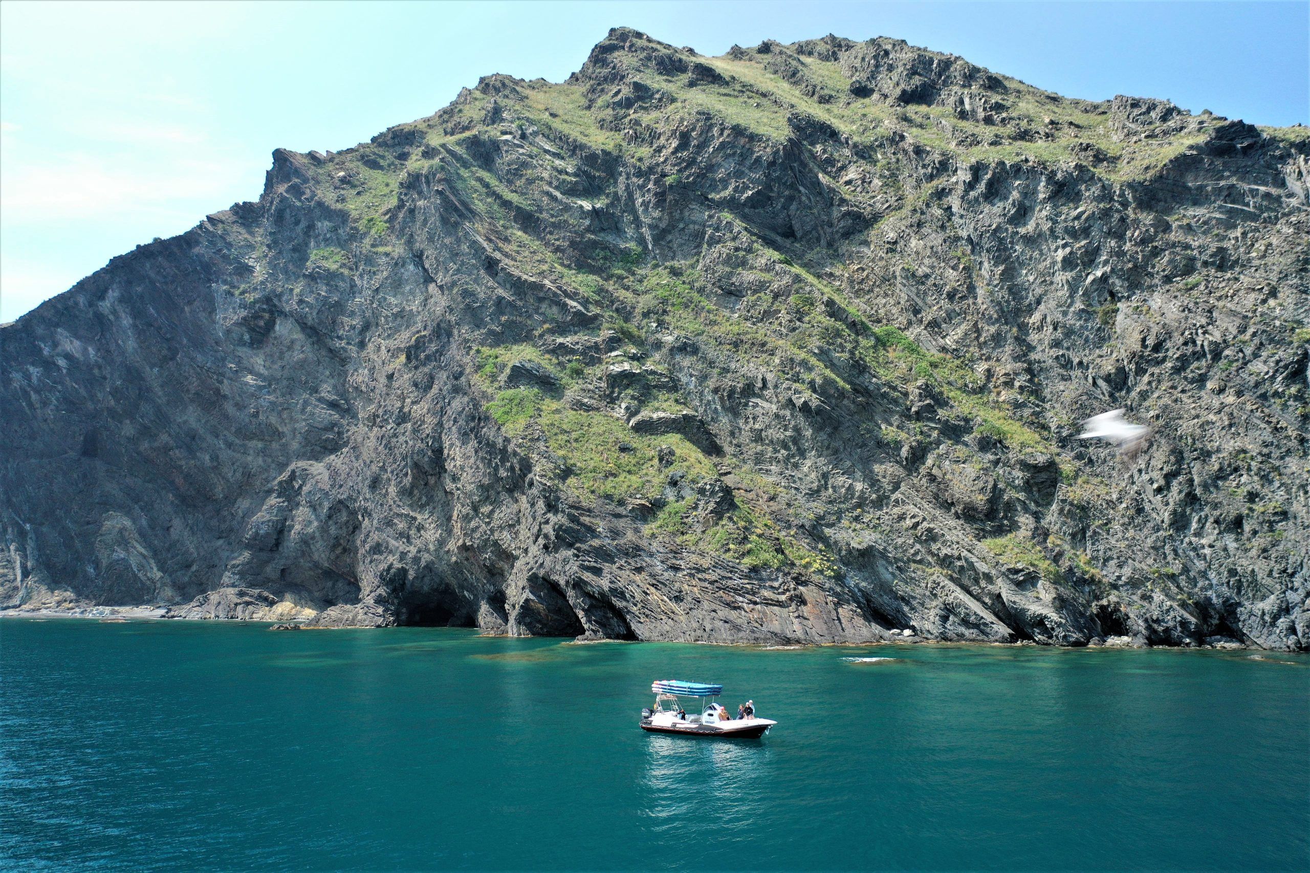 promenade en bateau argeles collioure banyuls