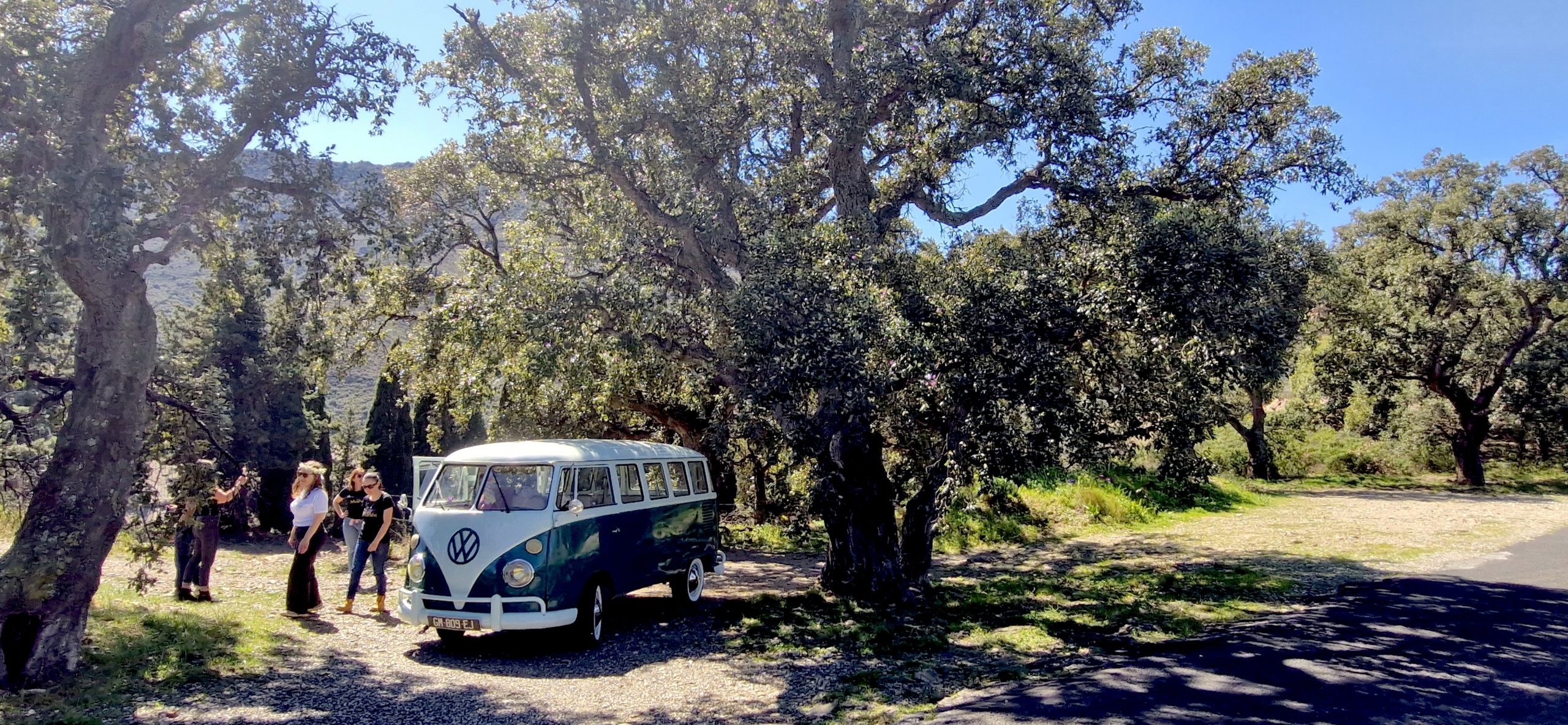 skipper - moniteur - bleu loisirs - bateau - sortie en mer - promenade en mer